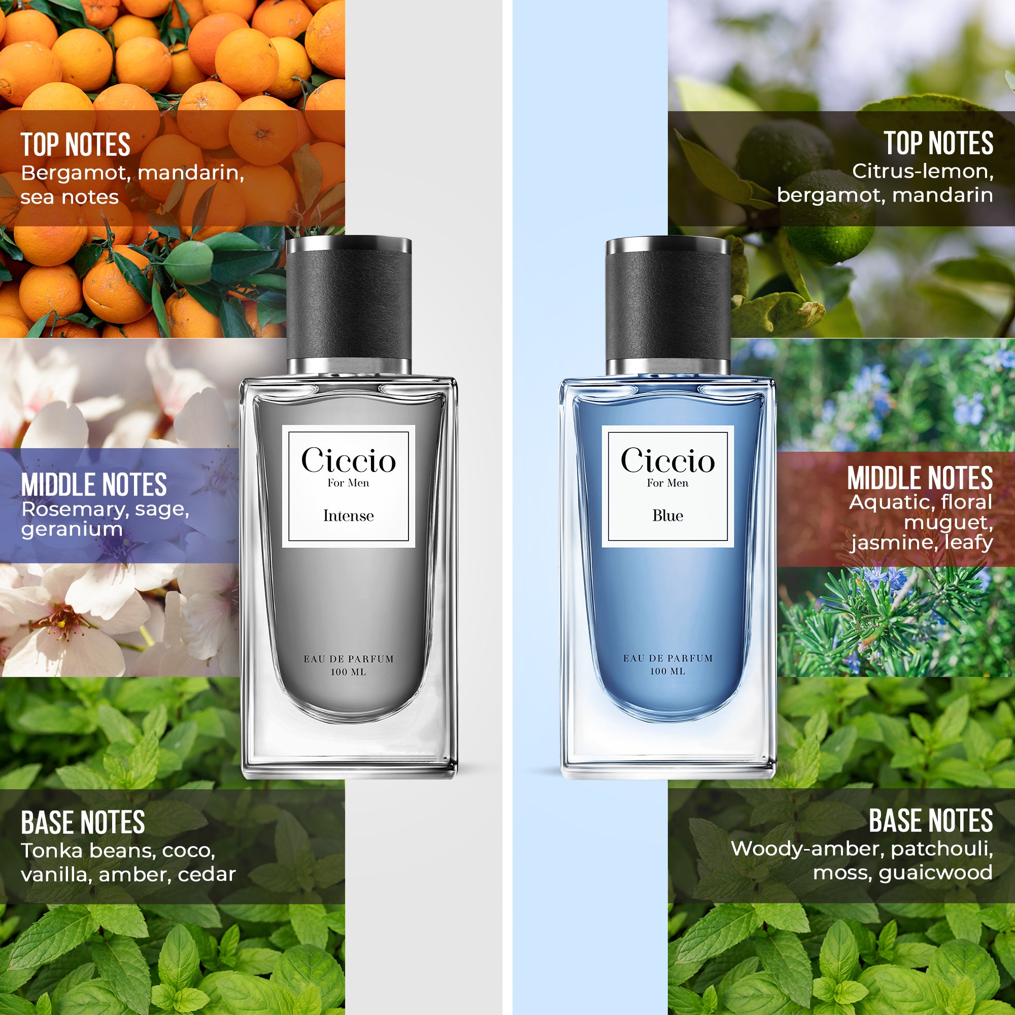 Ciccio Blue & Intense for Men (Combo Pack of 2x100 ML)