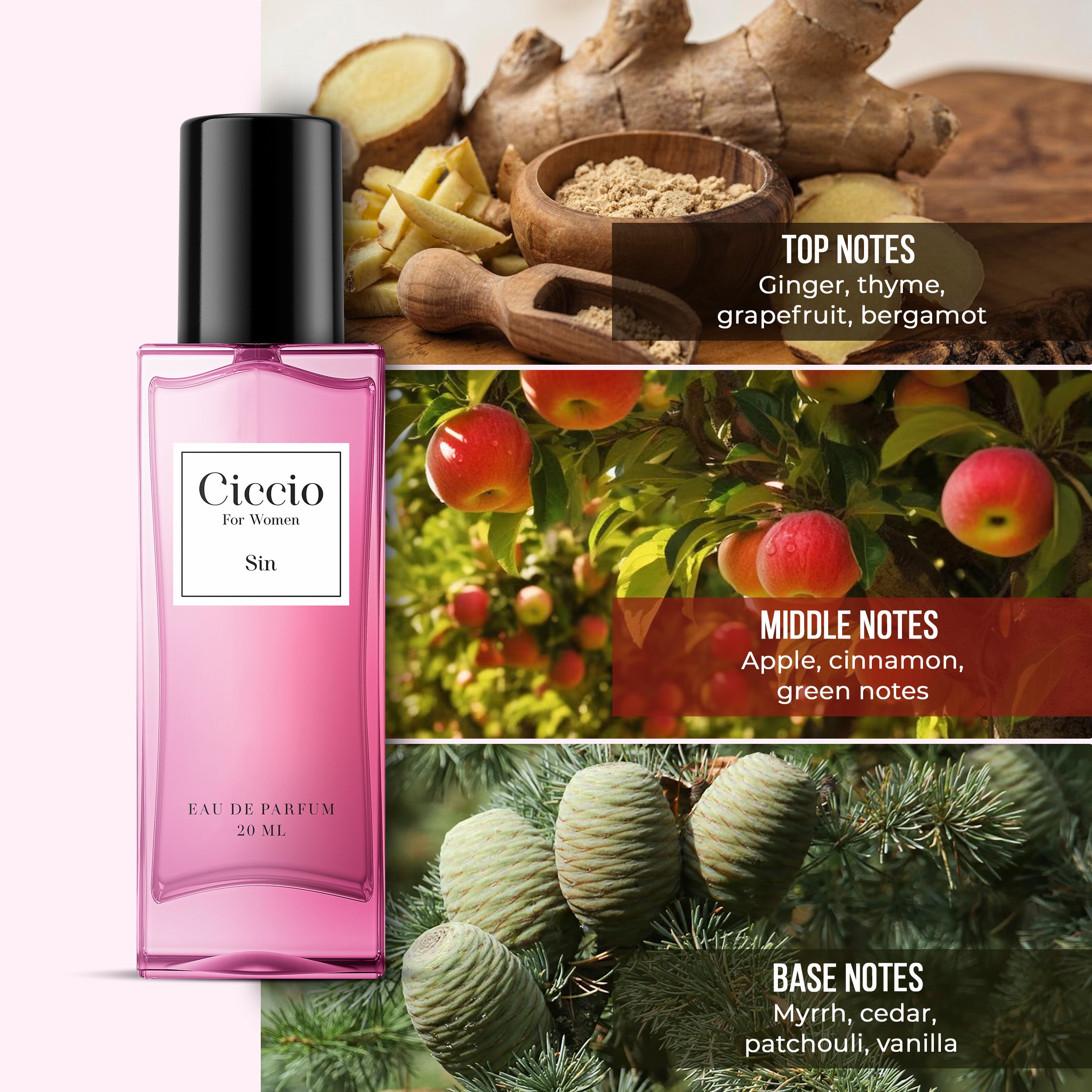 Ciccio Sin For Women - 20ML