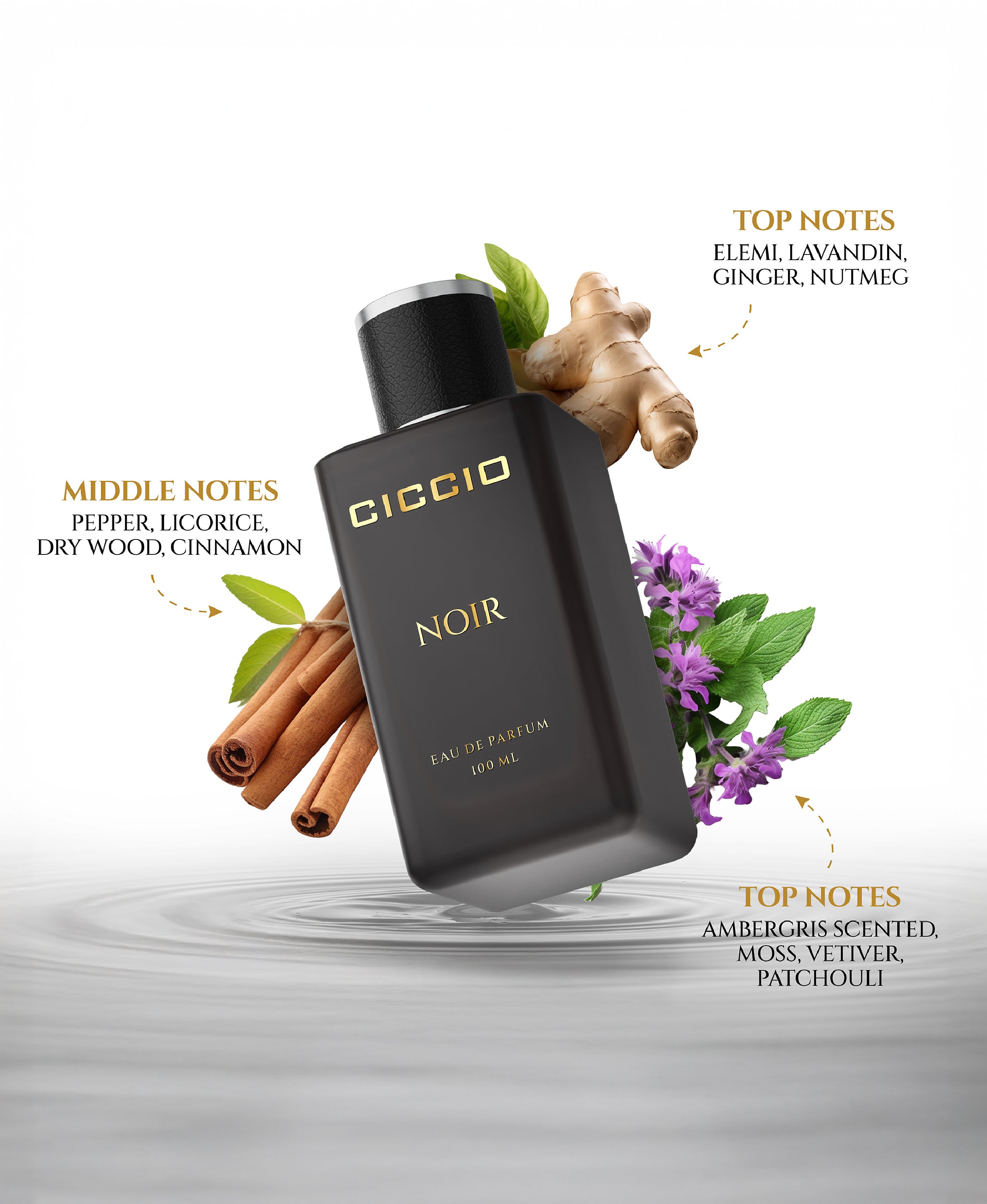 Ciccio Absolute & Noir for Men (Combo Pack of 2)