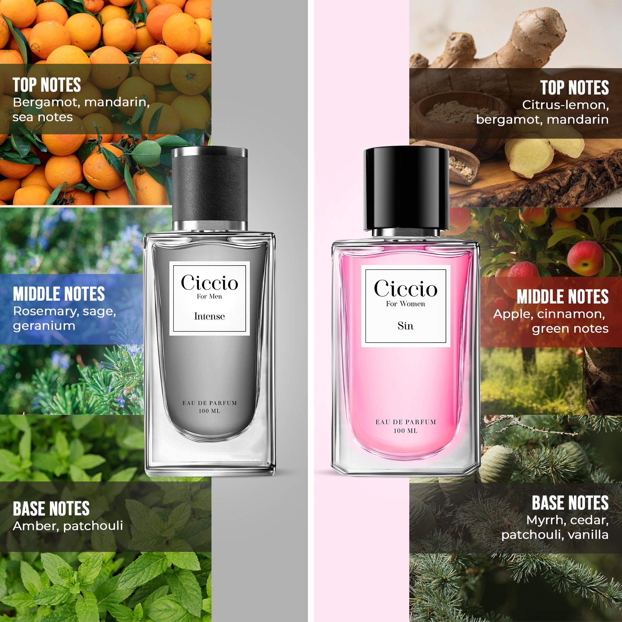 Ciccio Intense for Men & Ciccio Sin for Women (Pack of 2x100 ML)