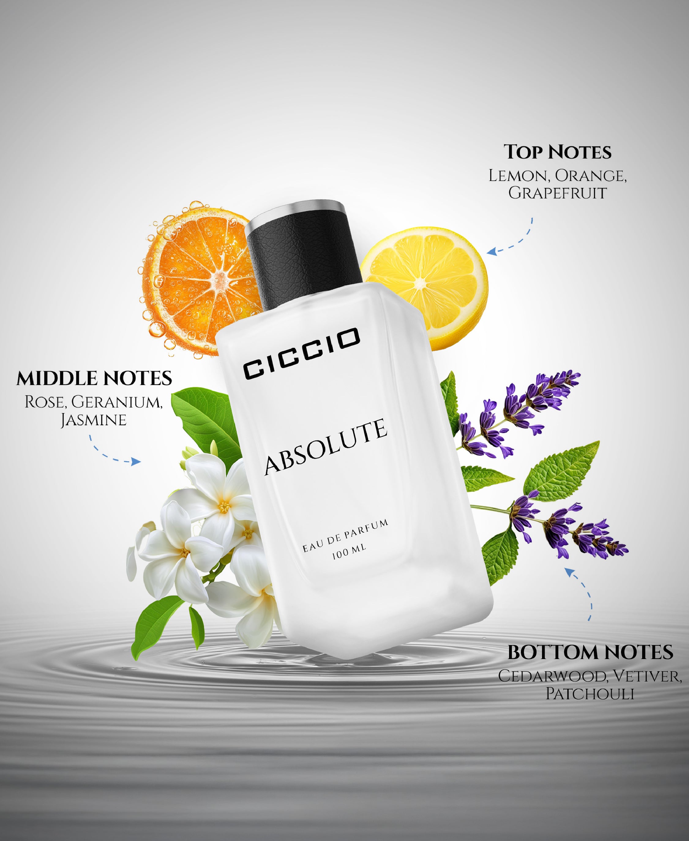 Ciccio Absolute Eau De Parfum For Men