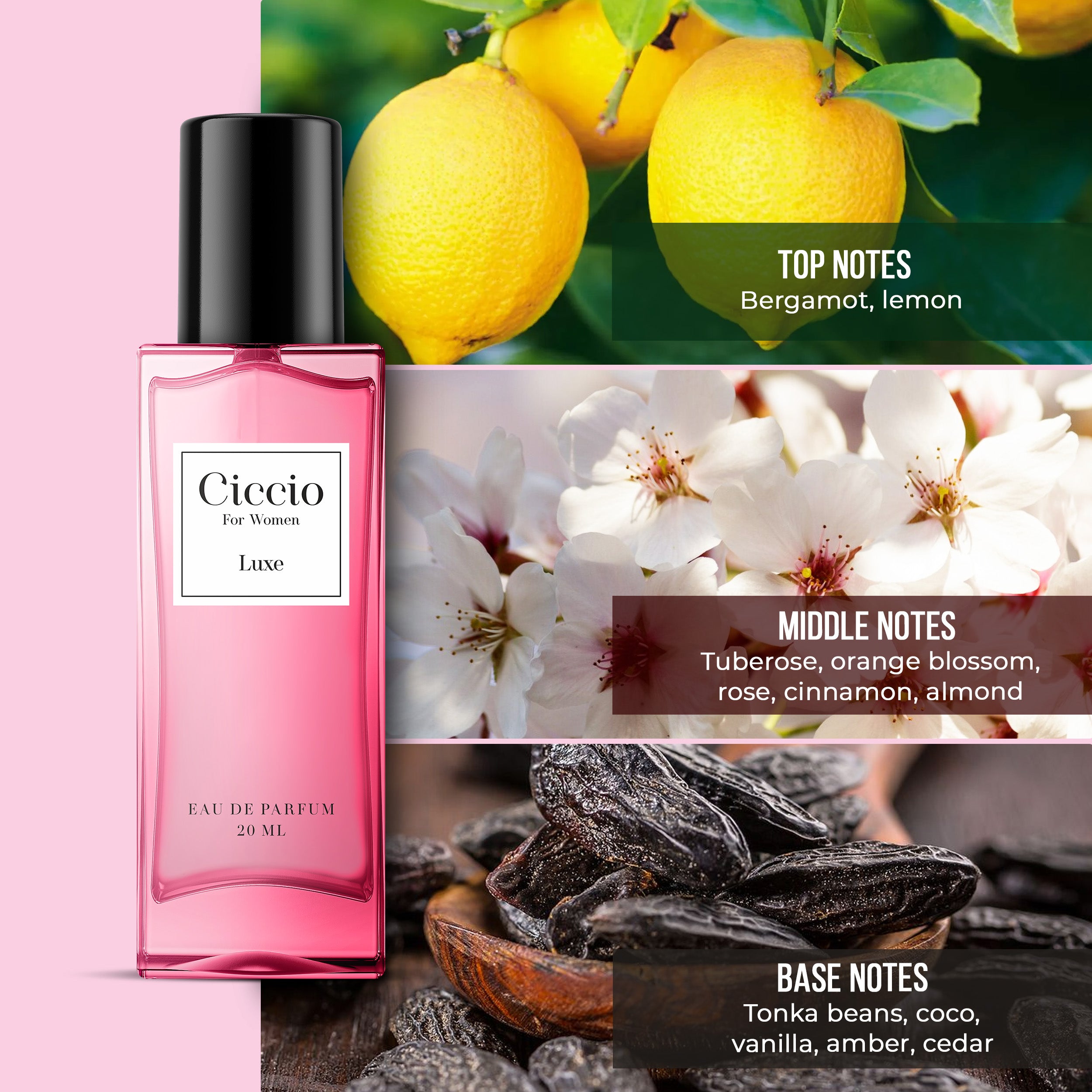 Ciccio Luxe For Women - 20ML