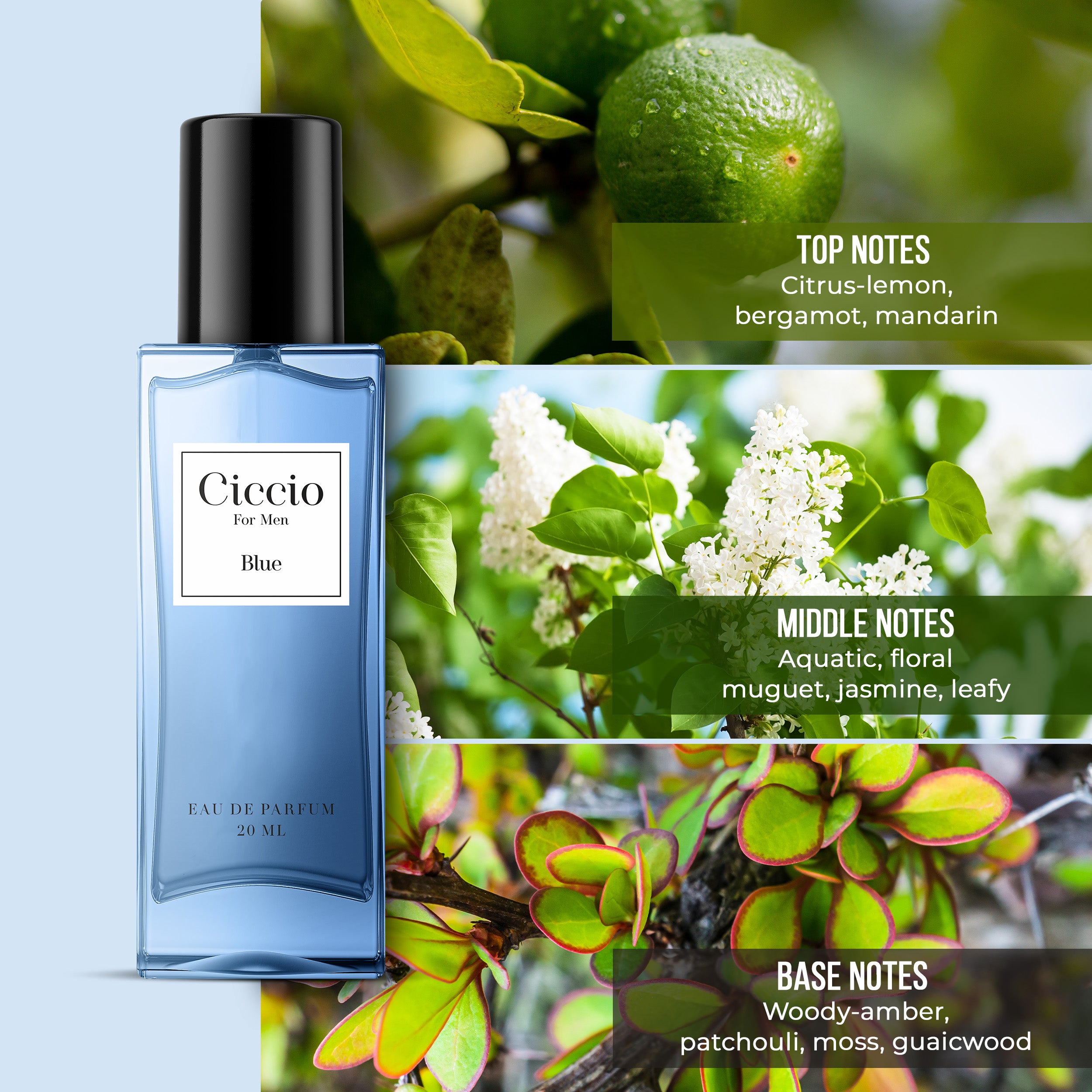 Ciccio Blue For Men - 20ML