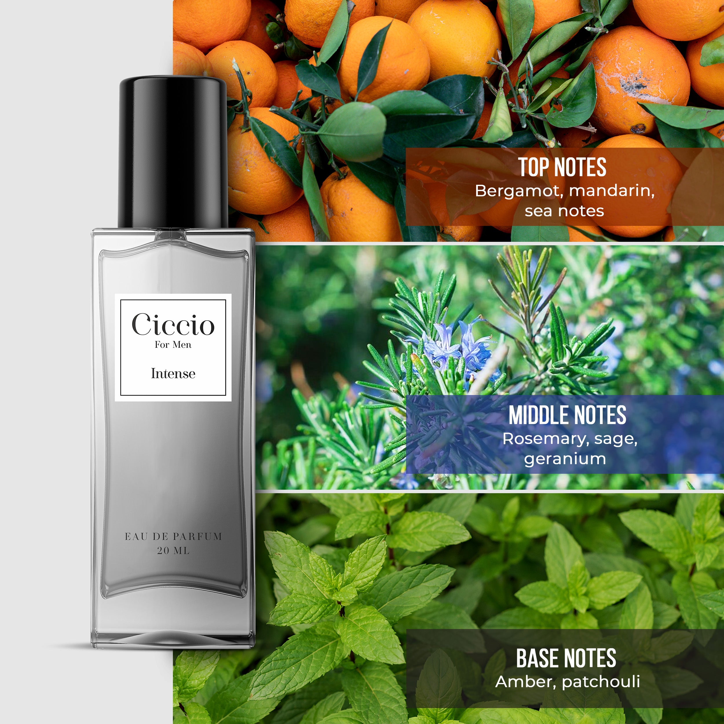 Ciccio Intense For Men - 20ML